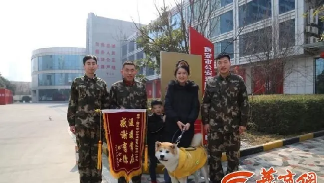 西安女子宠物狗落水 消防官兵爬在冰上救助 | 宠物新闻资讯