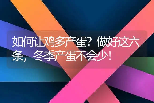 如何让鸡多产蛋？做好这六条，冬季产蛋不会少！ | 家禽养殖