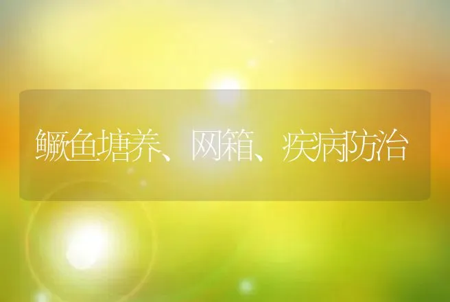 鳜鱼塘养、网箱、疾病防治 | 动物养殖