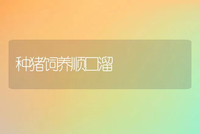 种猪饲养顺口溜 | 家畜养殖