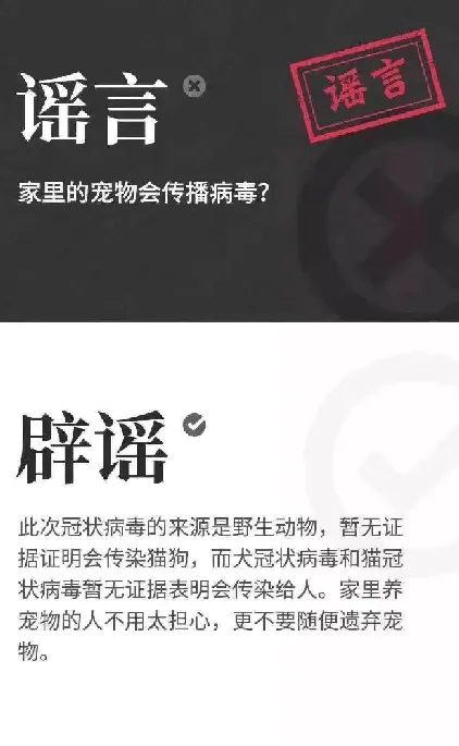 那些说宠物传染新型肺炎的，我来给你理理思路! | 宠物新闻资讯