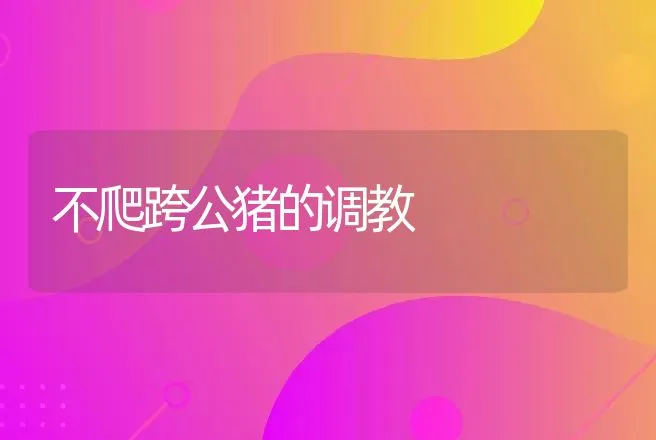 不爬跨公猪的调教 | 动物养殖