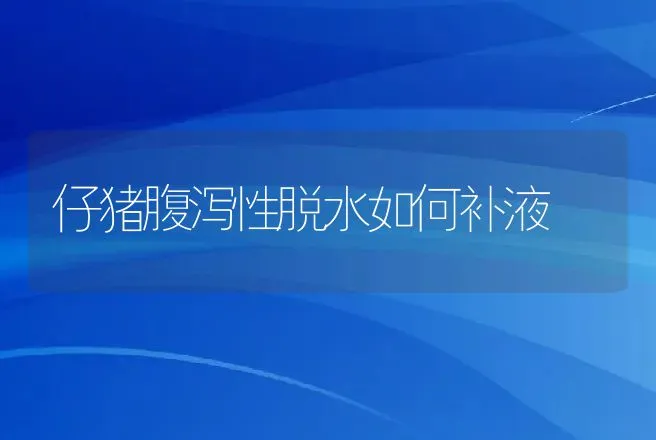 仔猪腹泻性脱水如何补液 | 兽医知识大全