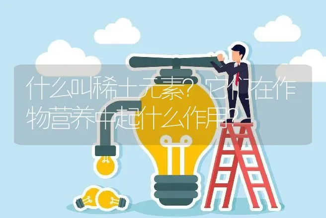 什么叫稀土元素？它们在作物营养中起什么作用？ | 动物养殖