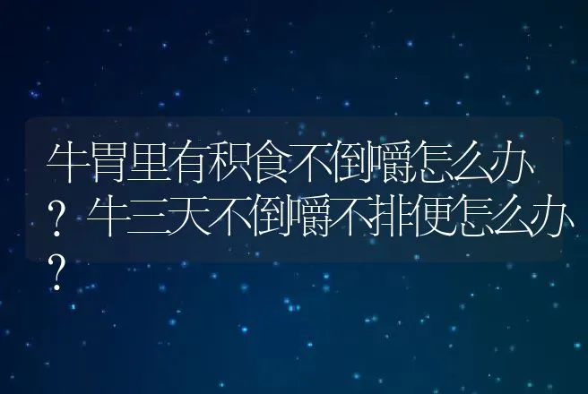 牛胃里有积食不倒嚼怎么办?牛三天不倒嚼不排便怎么办? | 家畜养殖