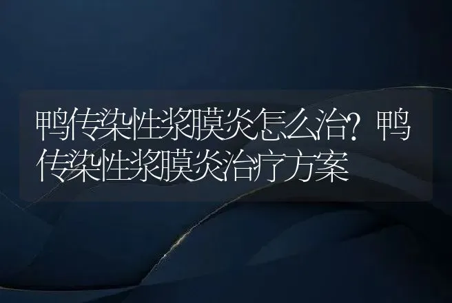 鸭传染性浆膜炎怎么治？鸭传染性浆膜炎治疗方案 | 兽医知识大全