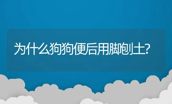 为什么狗狗便后用脚刨土? | 宠物猫