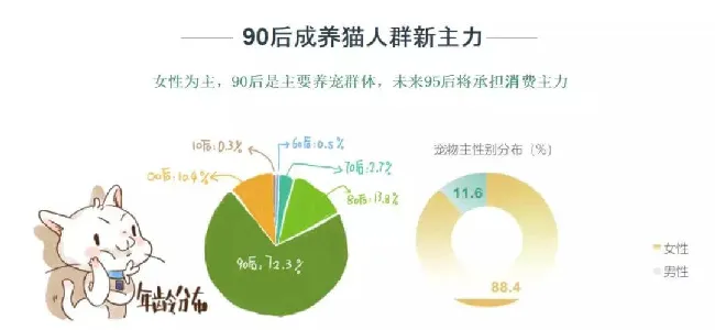 新一代猫服务到底该怎么做?喵星大讲堂是这样说的 | 宠物行业洞察