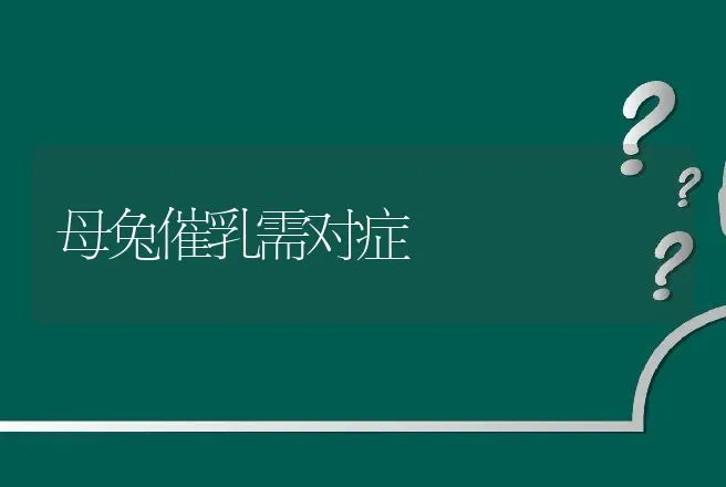 母兔催乳需对症 | 动物养殖