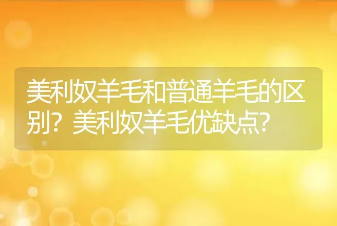 美利奴羊毛和普通羊毛的区别？美利奴羊毛优缺点？ | 家畜养殖