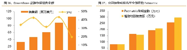 宠物龙头企业 佩蒂股份业绩源泉在哪 | 宠物行业洞察