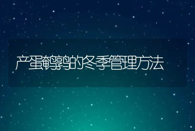 产蛋鹌鹑的冬季管理方法 | 动物养殖