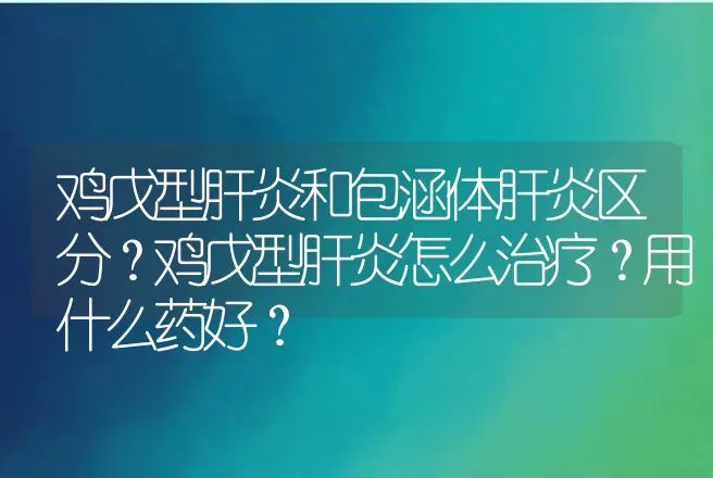 鸡戊型肝炎和包涵体肝炎区分？鸡戊型肝炎怎么治疗？用什么药好？ | 兽医知识大全