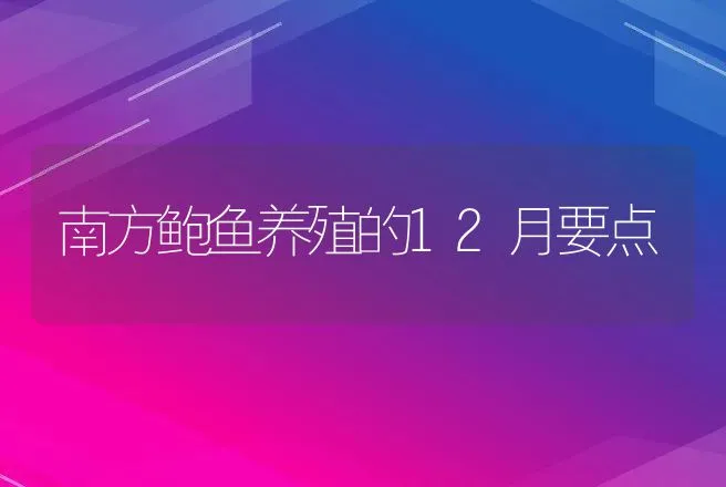 南方鲍鱼养殖的12月要点 | 动物养殖