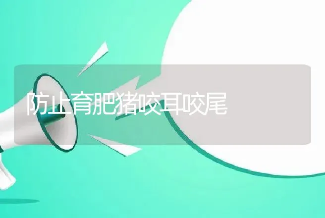 防止育肥猪咬耳咬尾 | 动物养殖