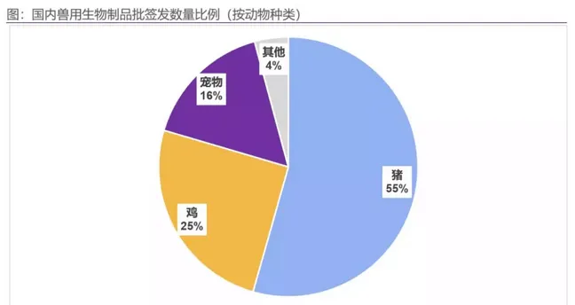 狂犬疫苗处于政策红利期，谁会抢占先机？ | 宠物行业洞察