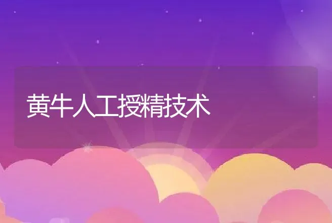 黄牛人工授精技术 | 动物养殖