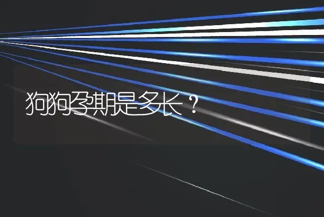 狗狗孕期是多长？ | 动物养殖