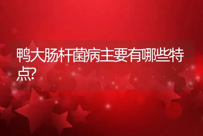 鸭大肠杆菌病主要有哪些特点? | 家禽养殖