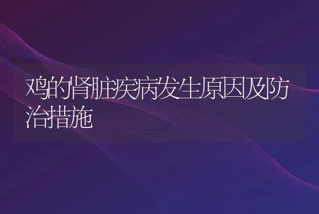 鸡的肾脏疾病发生原因及防治措施 | 动物养殖