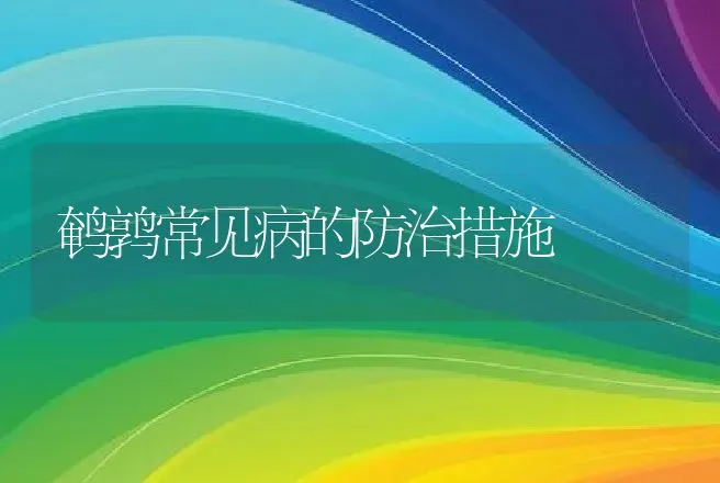 鹌鹑常见病的防治措施 | 动物养殖