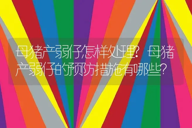 母猪产弱仔怎样处理?母猪产弱仔的预防措施有哪些？ | 兽医知识大全