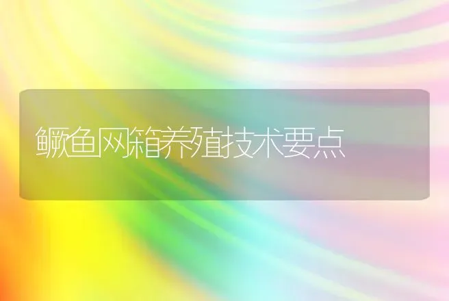 鳜鱼网箱养殖技术要点 | 动物养殖