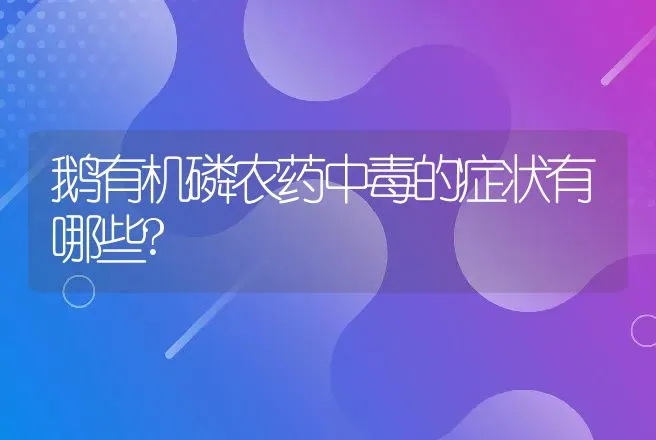 鹅有机磷农药中毒的症状有哪些? | 家禽养殖