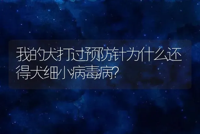 我的犬打过预防针为什么还得犬细小病毒病？ | 兽医知识大全