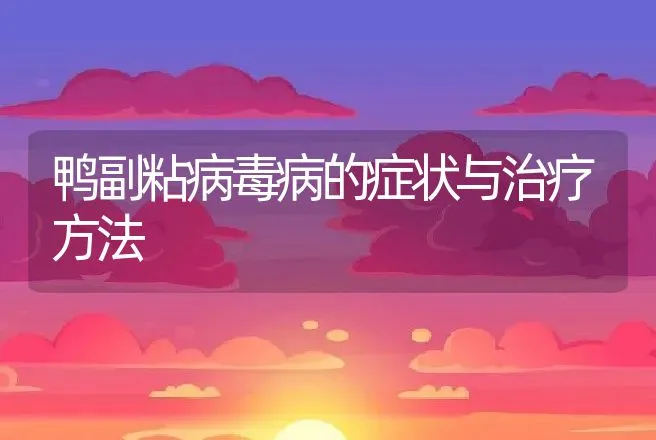 鸭副粘病毒病的症状与治疗方法 | 家禽养殖