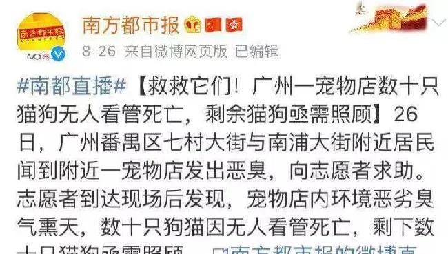 捡流浪动物恶意繁殖，并卖惨骗捐！生而为人请善良！ | 宠物新闻资讯