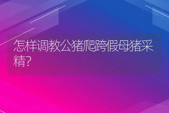 怎样调教公猪爬跨假母猪采精？ | 动物养殖