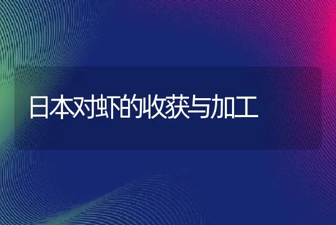 日本对虾的收获与加工 | 渔业捕捞