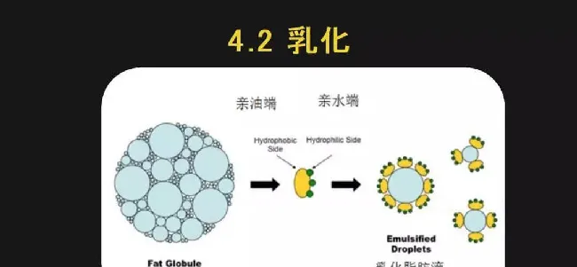 新一代猫服务到底该怎么做?喵星大讲堂是这样说的 | 宠物行业洞察