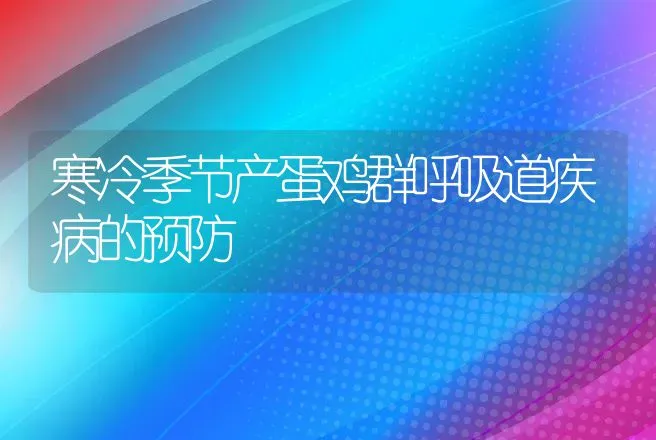 寒冷季节产蛋鸡群呼吸道疾病的预防 | 动物养殖