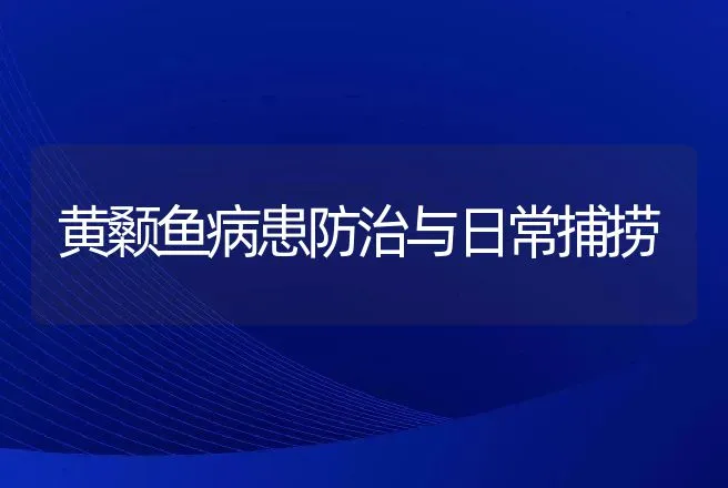 黄颡鱼病患防治与日常捕捞 | 渔业捕捞