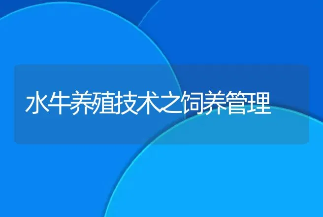 水牛养殖技术之饲养管理 | 家畜养殖