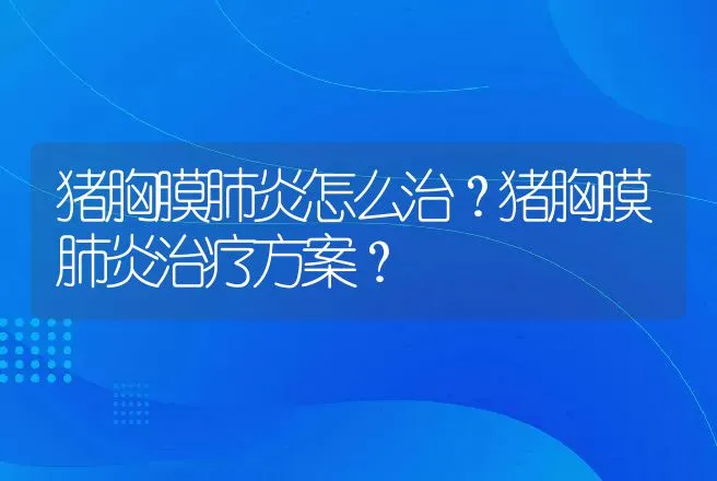 猪胸膜肺炎怎么治？猪胸膜肺炎治疗方案？ | 兽医知识大全