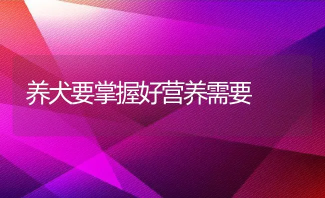 养犬要掌握好营养需要 | 宠物病虫害