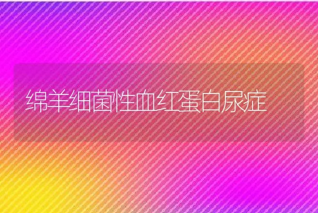 绵羊细菌性血红蛋白尿症 | 家畜养殖