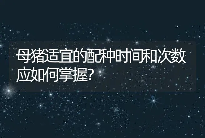 母猪适宜的配种时间和次数应如何掌握？ | 动物养殖