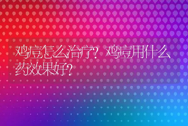 鸡痘怎么治疗？鸡痘用什么药效果好？ | 兽医知识大全