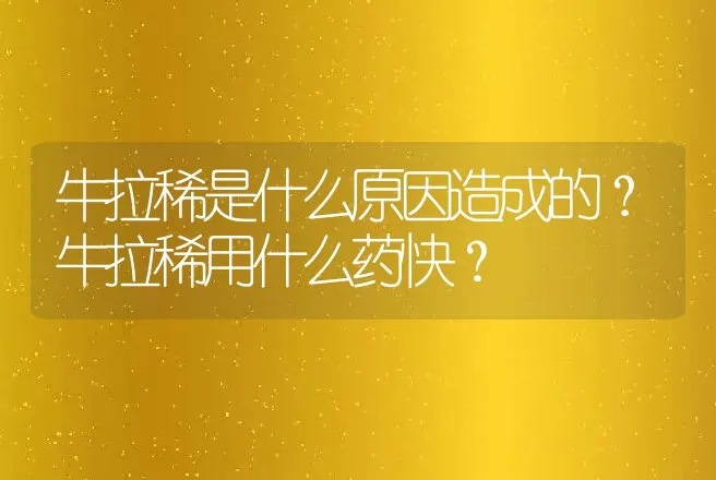 牛拉稀是什么原因造成的？牛拉稀用什么药快？ | 兽医知识大全