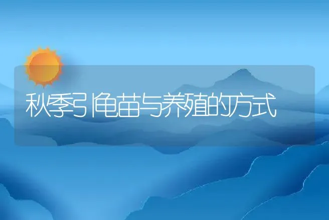 秋季引龟苗与养殖的方式 | 动物养殖