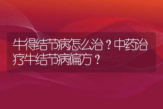 牛得结节病怎么治？中药治疗牛结节病偏方？ | 兽医知识大全