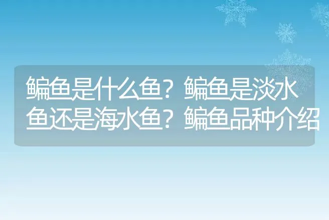 鳊鱼是什么鱼？鳊鱼是淡水鱼还是海水鱼？鳊鱼品种介绍 | 动物养殖