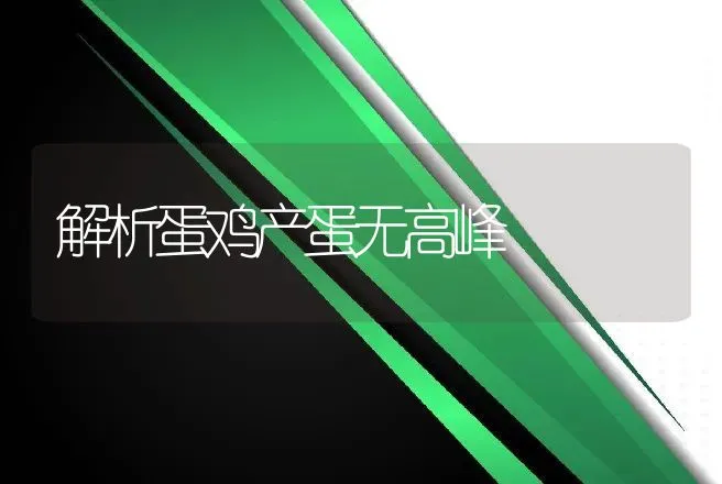 解析蛋鸡产蛋无高峰 | 动物养殖