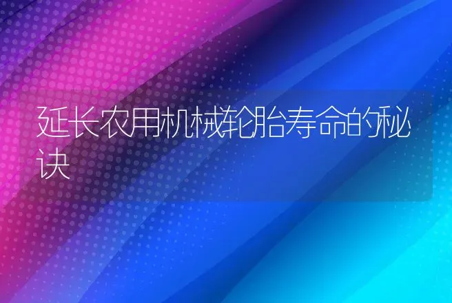 延长农用机械轮胎寿命的秘诀 | 养殖