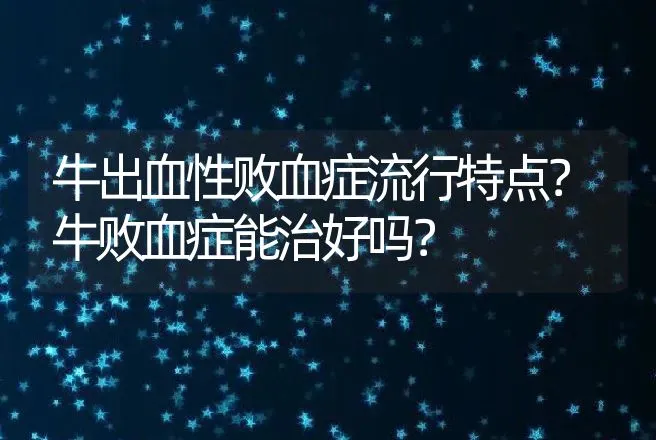 牛出血性败血症流行特点？牛败血症能治好吗？ | 兽医知识大全