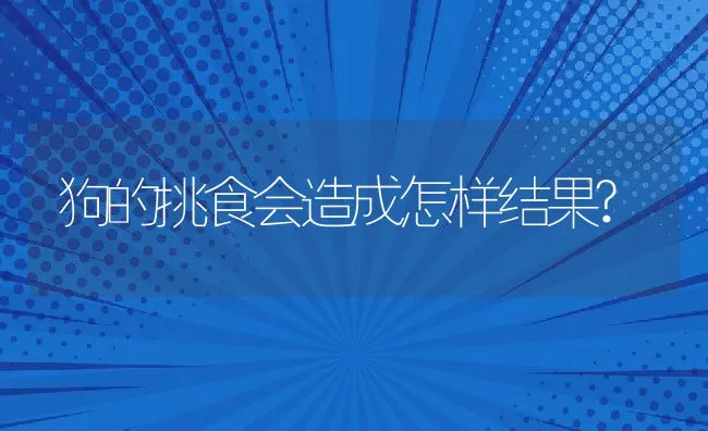 狗的挑食会造成怎样结果? | 宠物猫